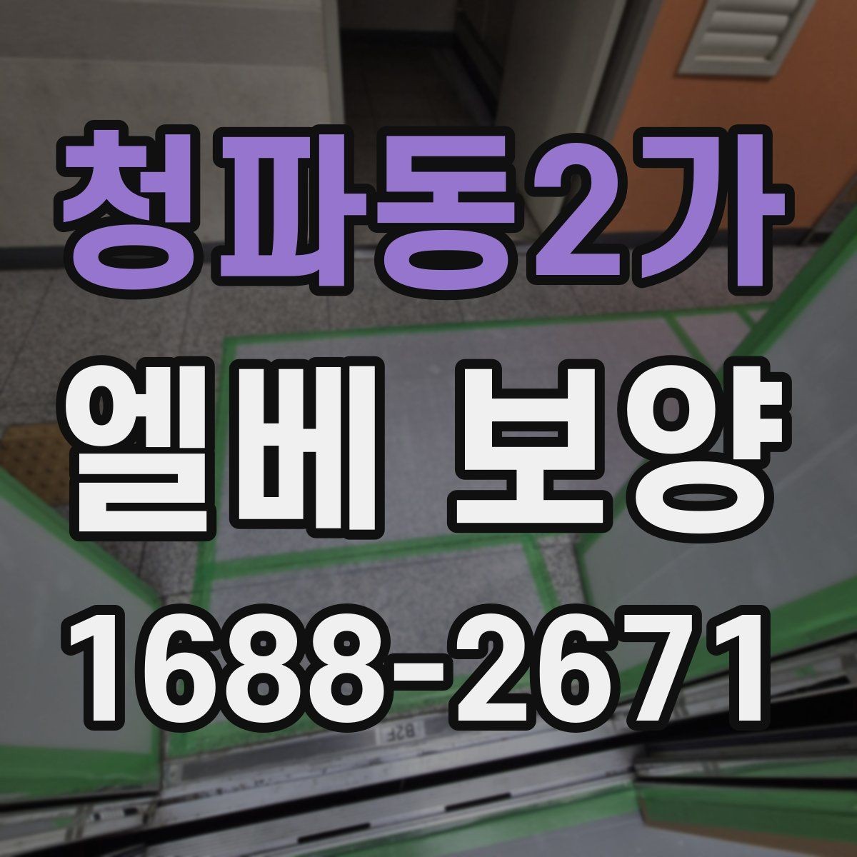 청파동2가 엘베 보양 시트 마감에서 자주 하는 실수와 예방