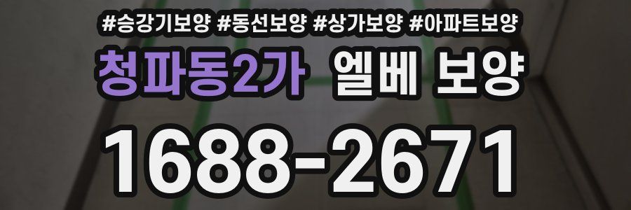 청파동2가 엘베 보양