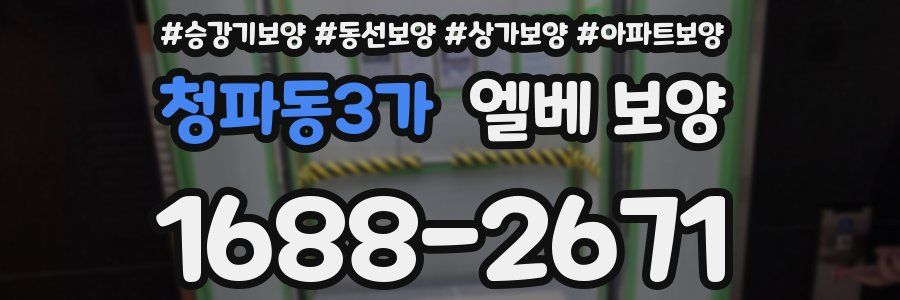 청파동3가 엘베 보양