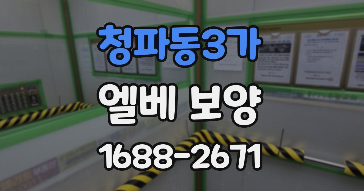 청파동3가 엘베 보양
