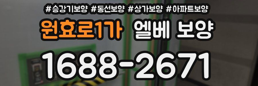 원효로1가 엘베 보양