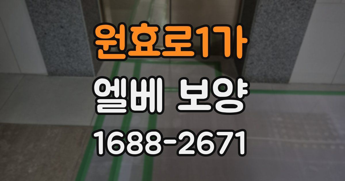 원효로1가 엘베 보양