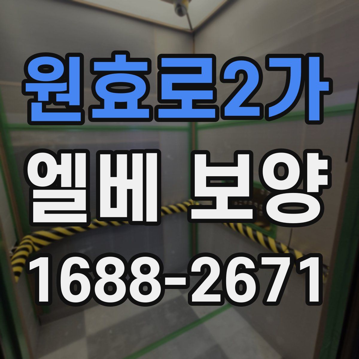 원효로2가 엘베 보양