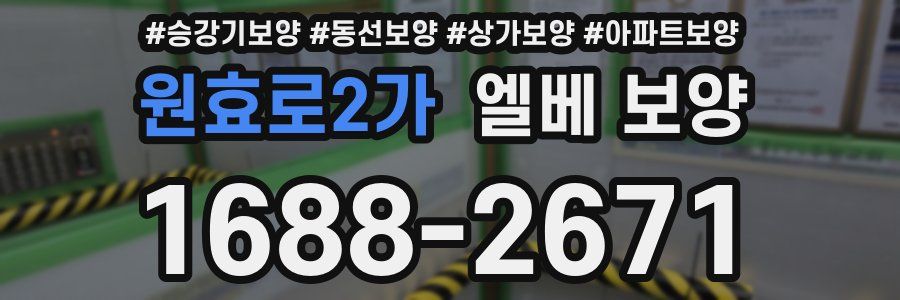 원효로2가 엘베 보양