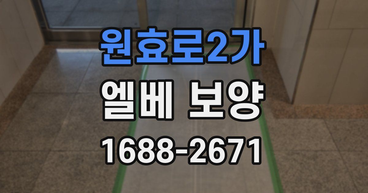 원효로2가 엘베 보양