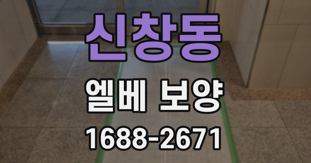 신창동 엘베 보양
