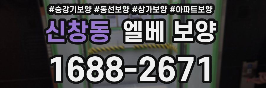 신창동 엘베 보양