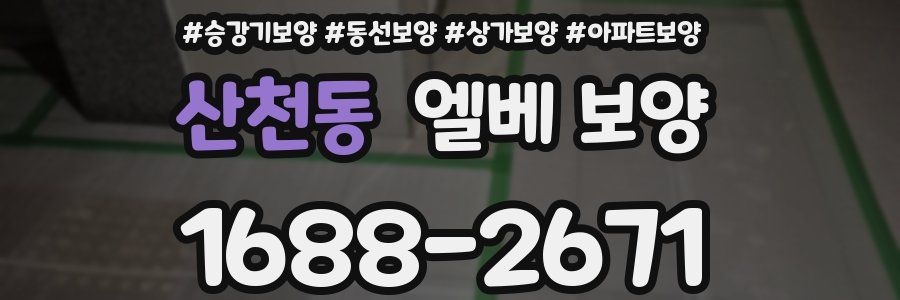 산천동 엘베 보양