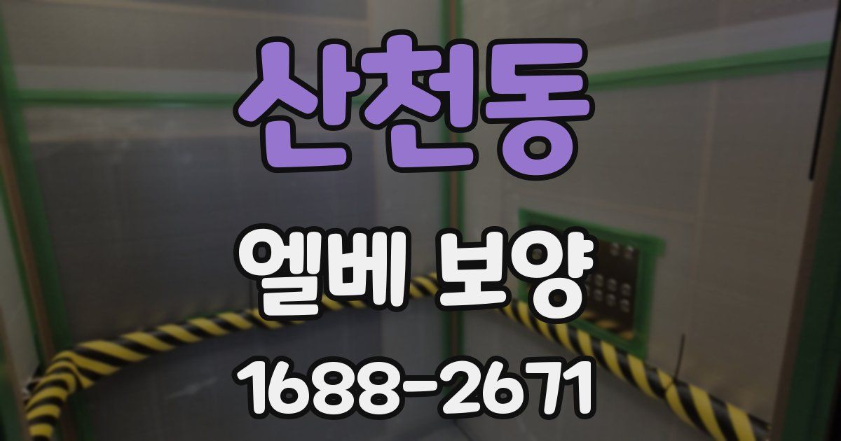 산천동 엘베 보양