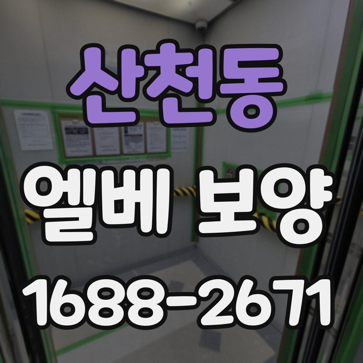 산천동 엘베 보양