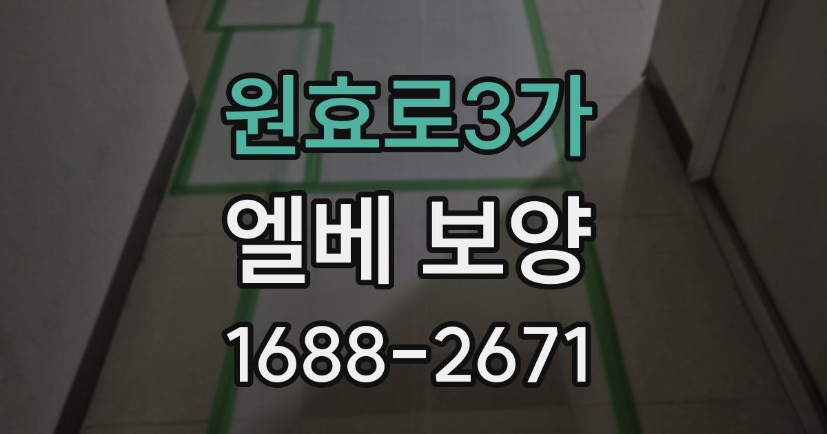 원효로3가 엘베 보양
