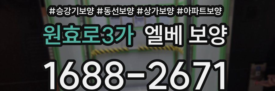 원효로3가 엘베 보양