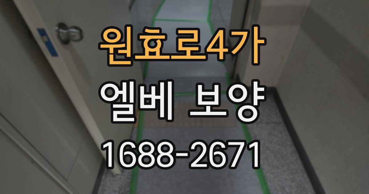 원효로4가 엘베 보양