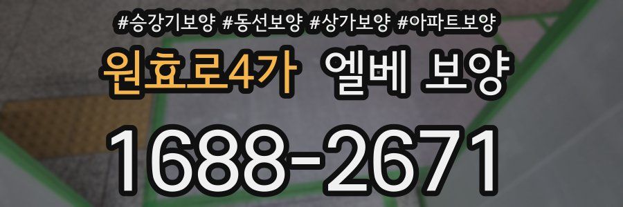 원효로4가 엘베 보양