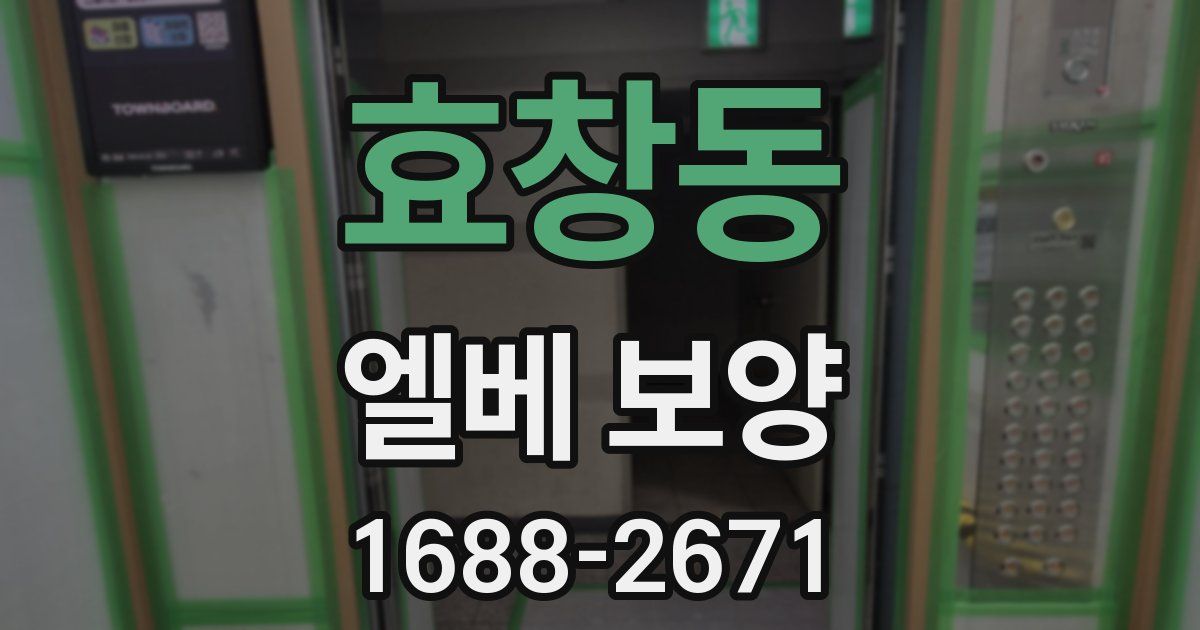 효창동 엘베 보양