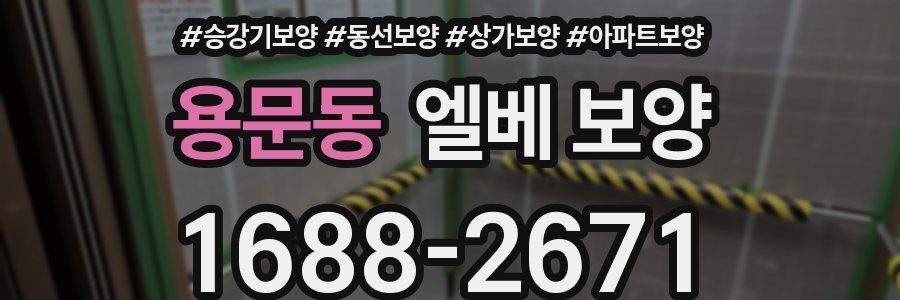 용문동 엘베 보양
