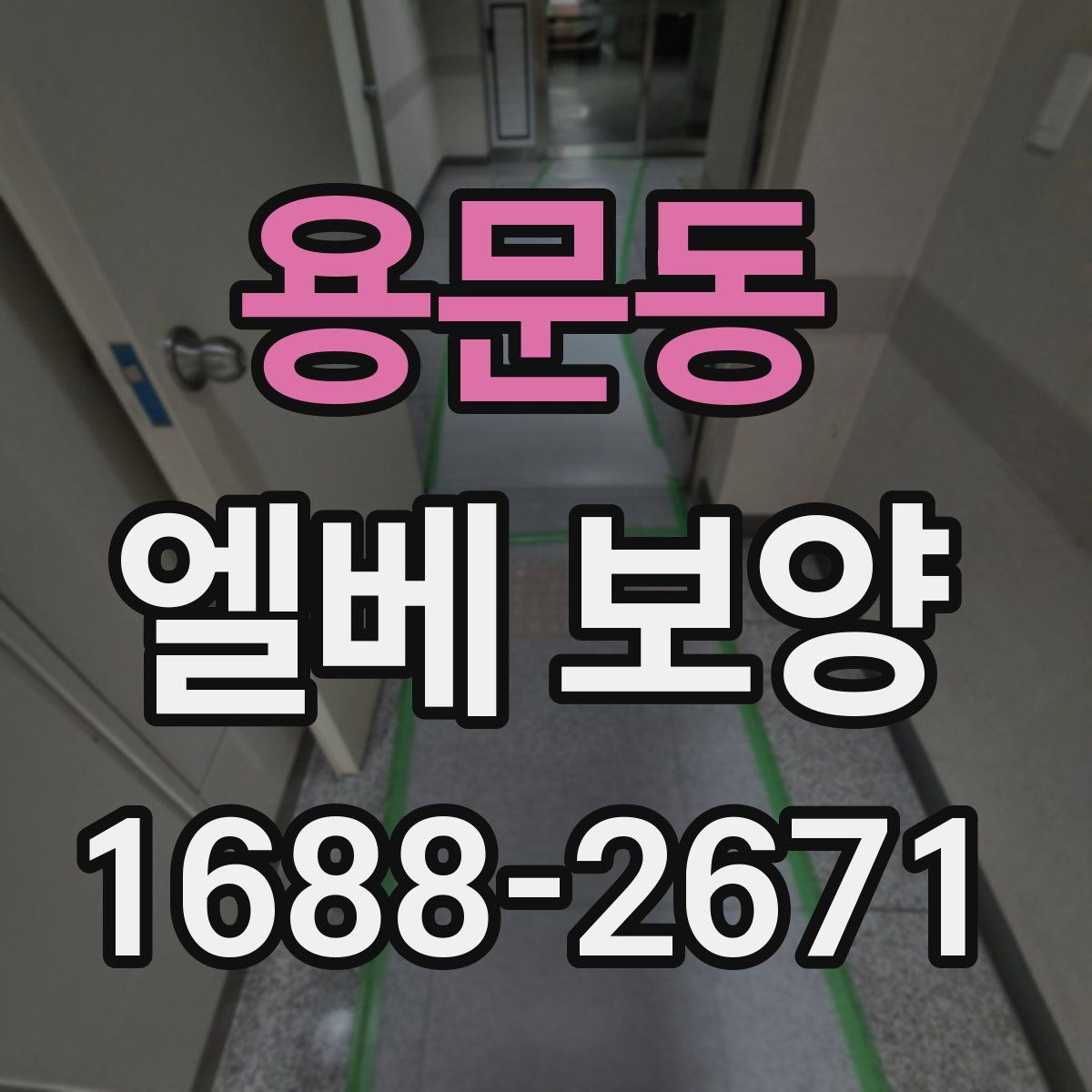 용문동 엘베 보양