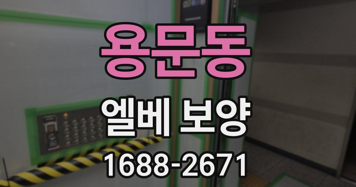 용문동 엘베 보양