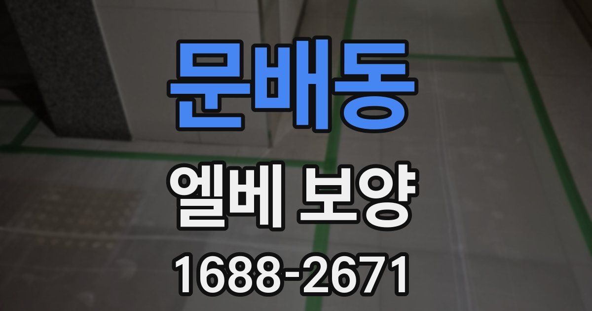 문배동 엘베 보양