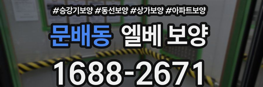 문배동 엘베 보양