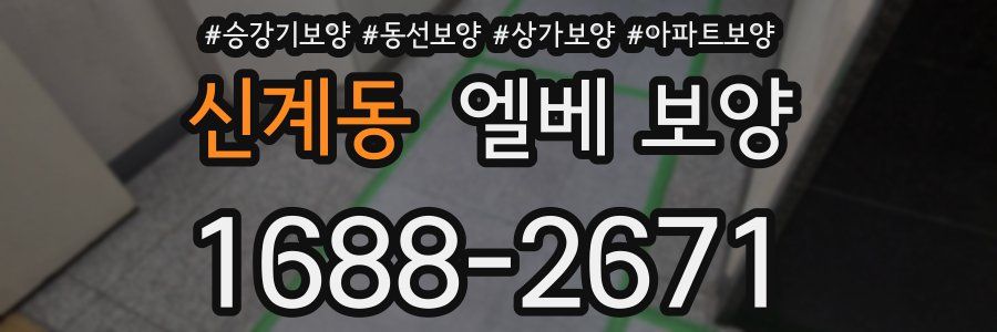신계동 엘베 보양