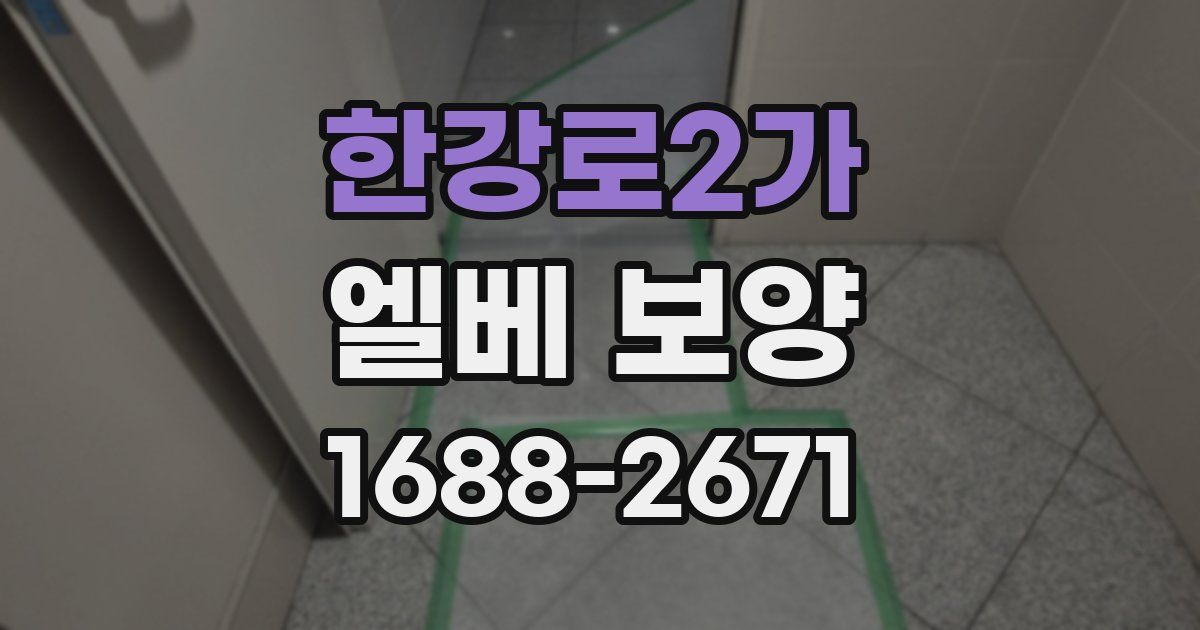한강로2가 엘베 보양