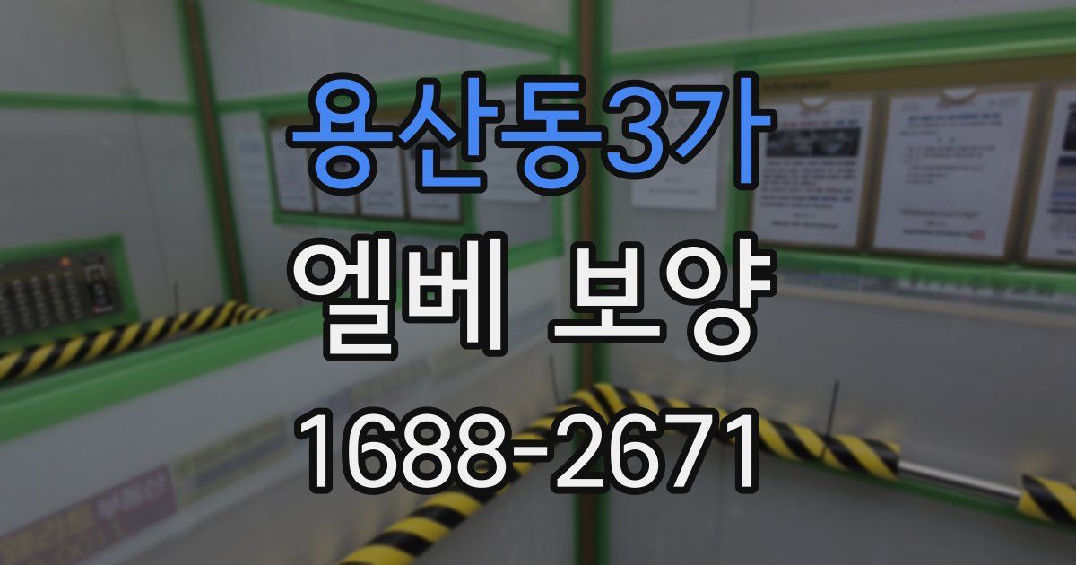 용산동3가 엘베 보양