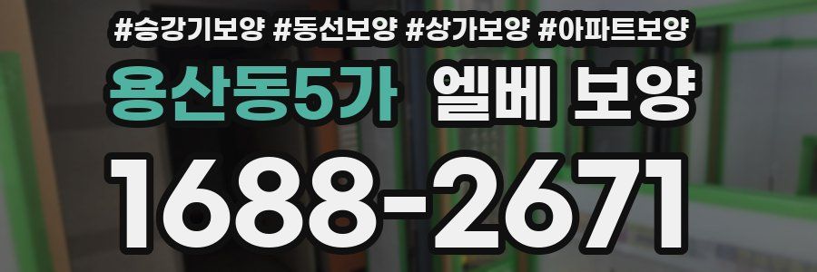 용산동5가 엘베 보양