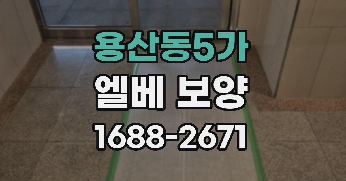 용산동5가 엘베 보양