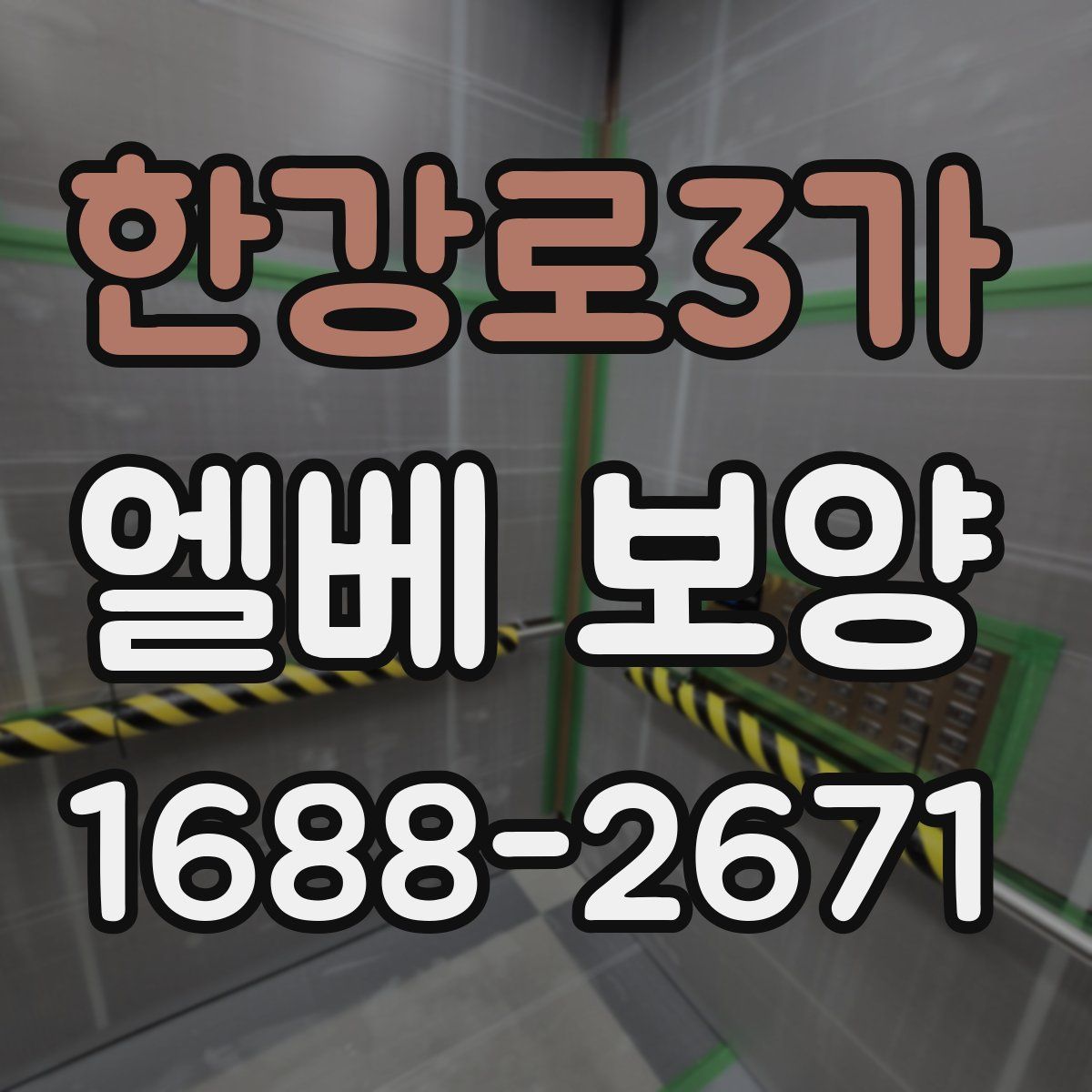 한강로3가 엘베 보양