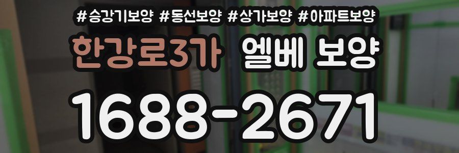 한강로3가 엘베 보양