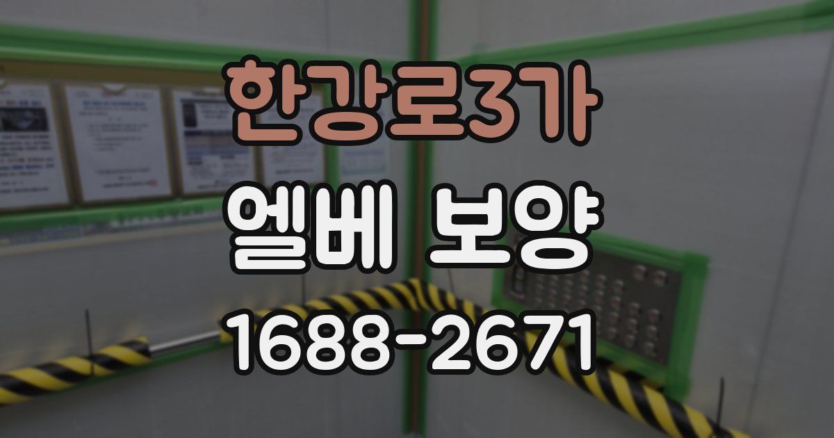 한강로3가 엘베 보양