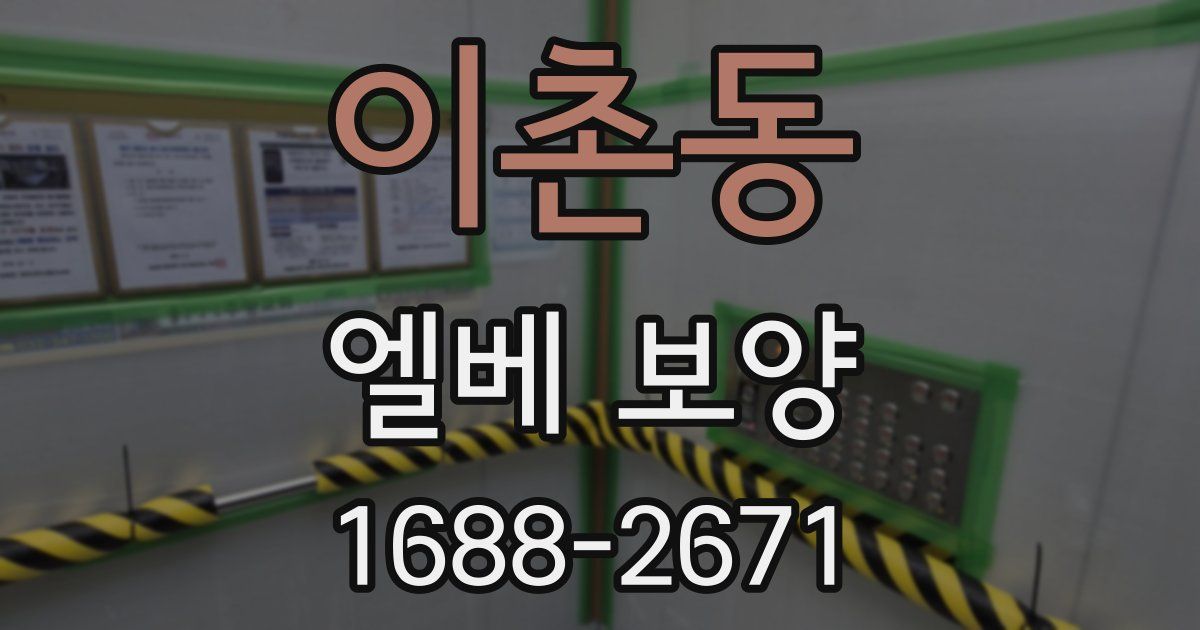 이촌동 엘베 보양