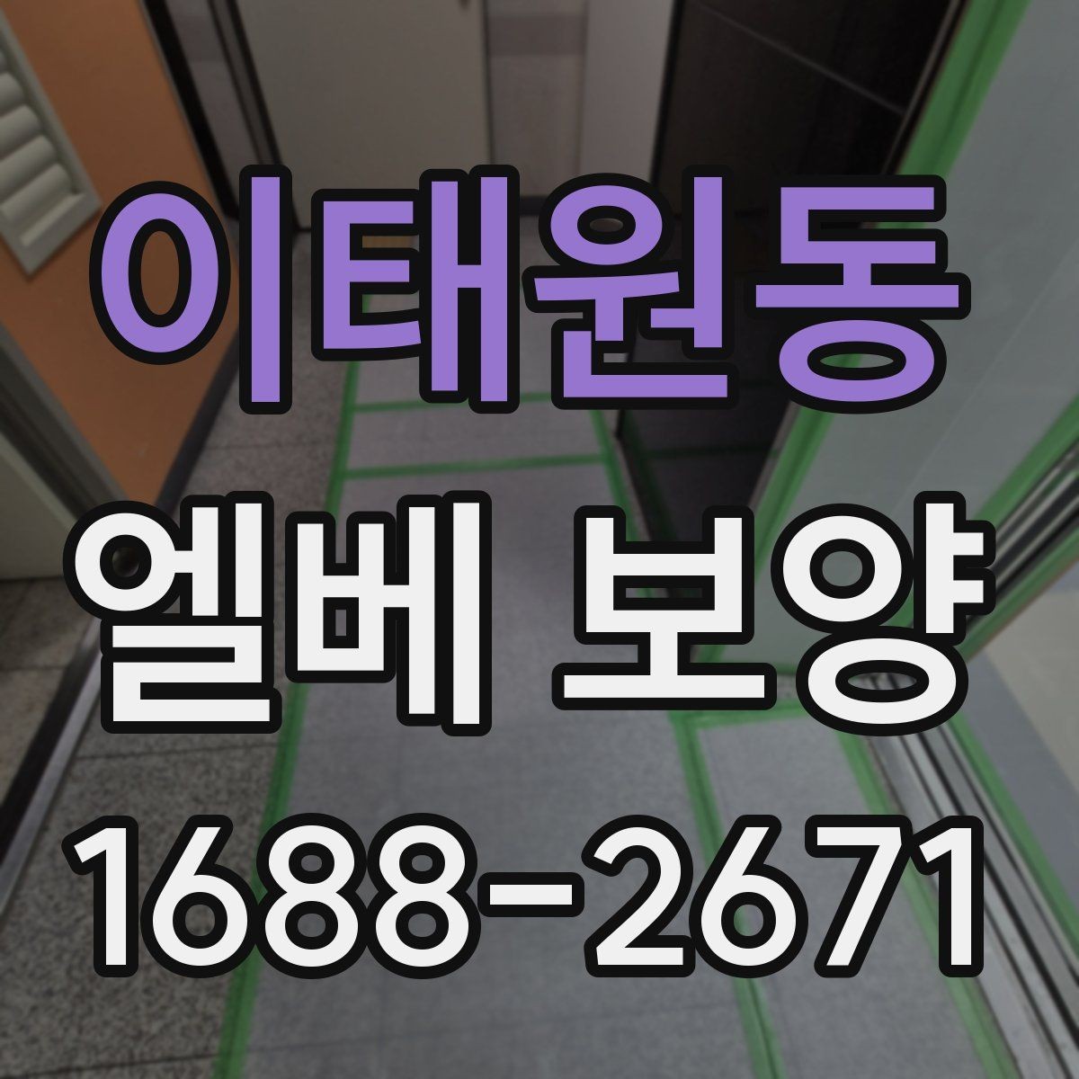 이태원동 엘베 보양 현장마다 달라지는 보호 범위와 순서