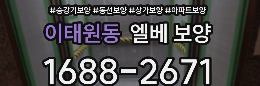 이태원동 엘베 보양
