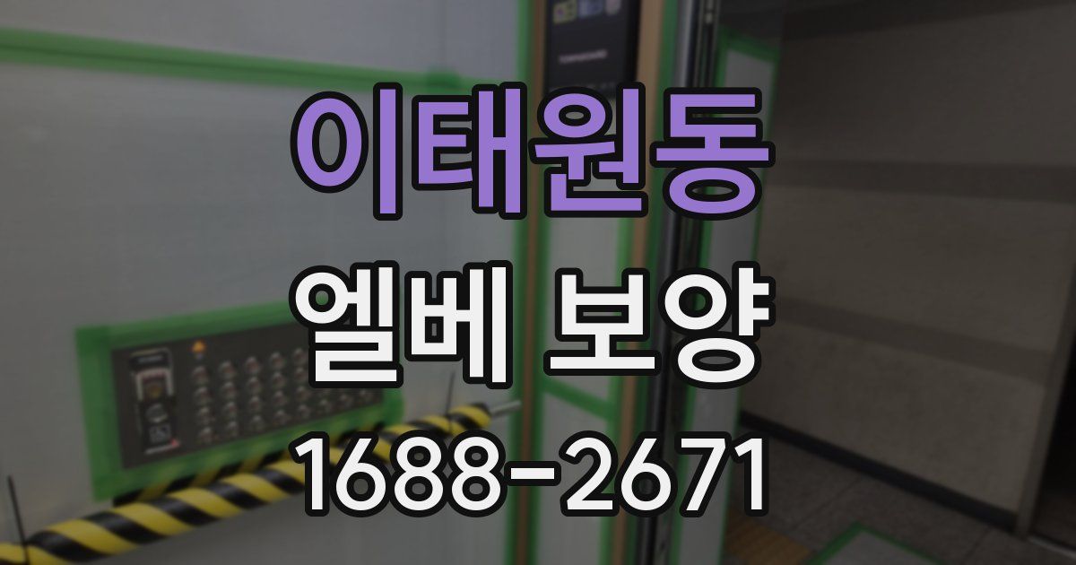 이태원동 엘베 보양