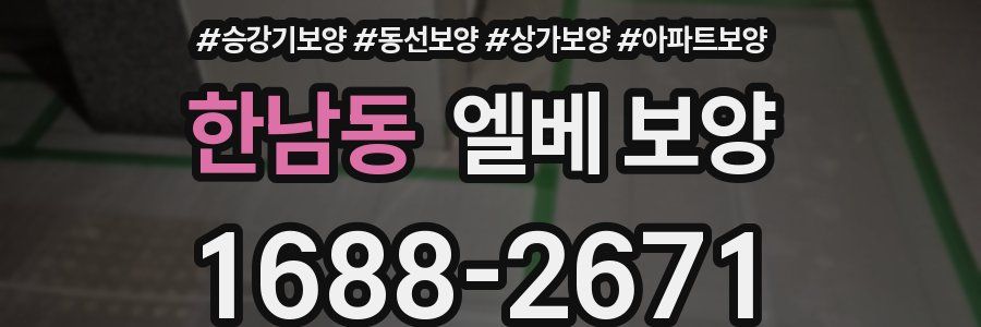 한남동 엘베 보양