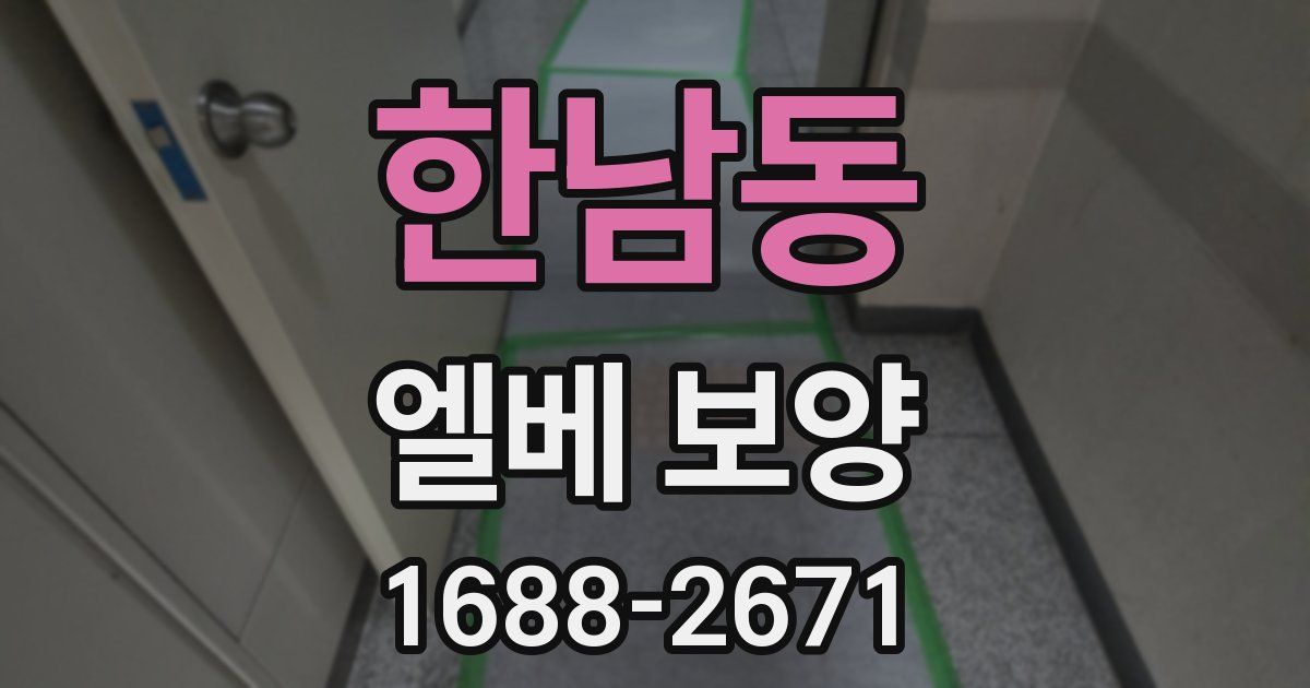 한남동 엘베 보양