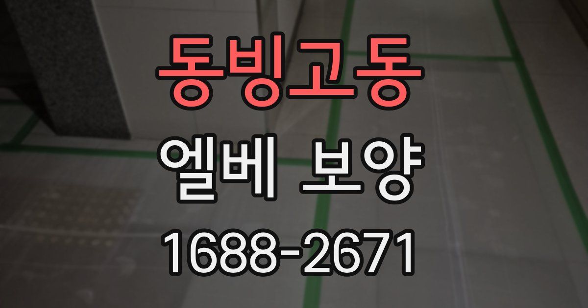 동빙고동 엘베 보양