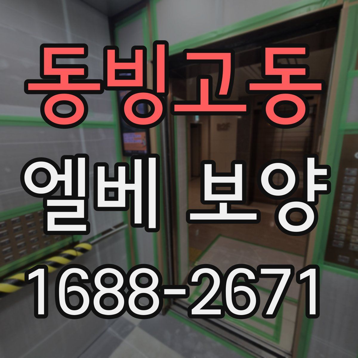 동빙고동 엘베 보양