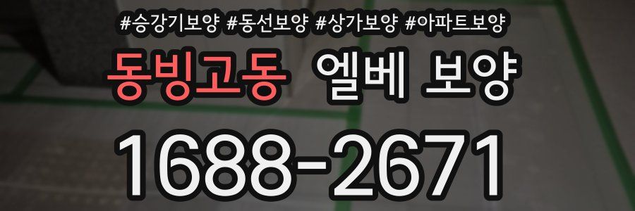 동빙고동 엘베 보양