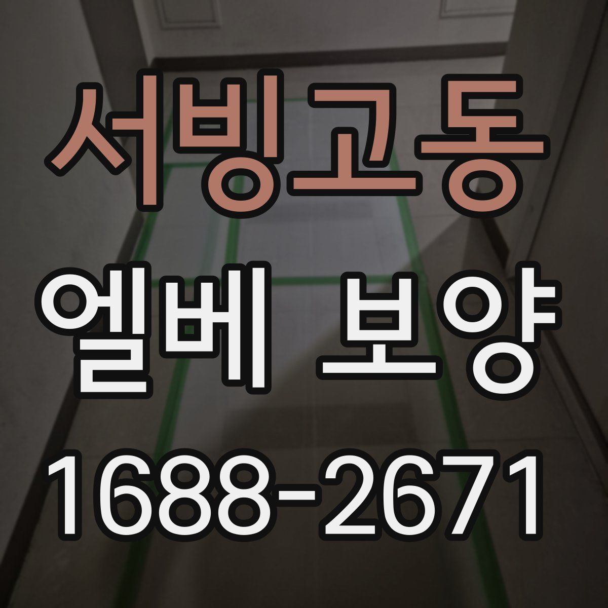 서빙고동 엘베 보양