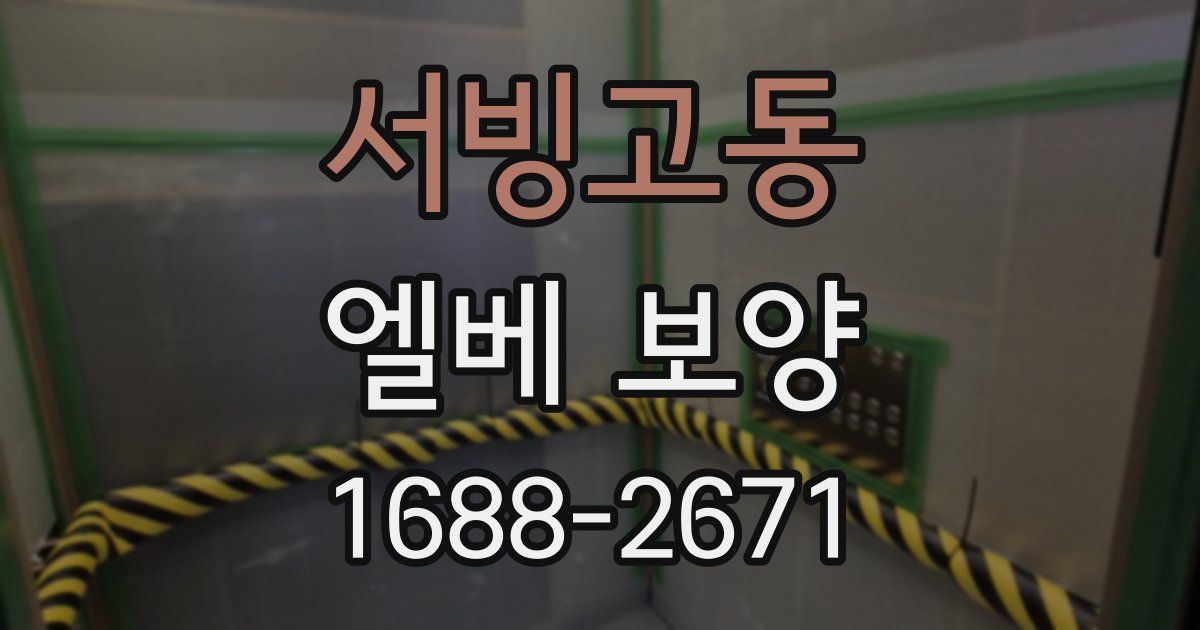 서빙고동 엘베 보양