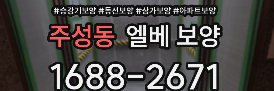 주성동 엘베 보양