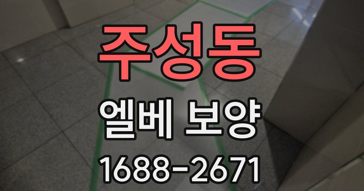 주성동 엘베 보양