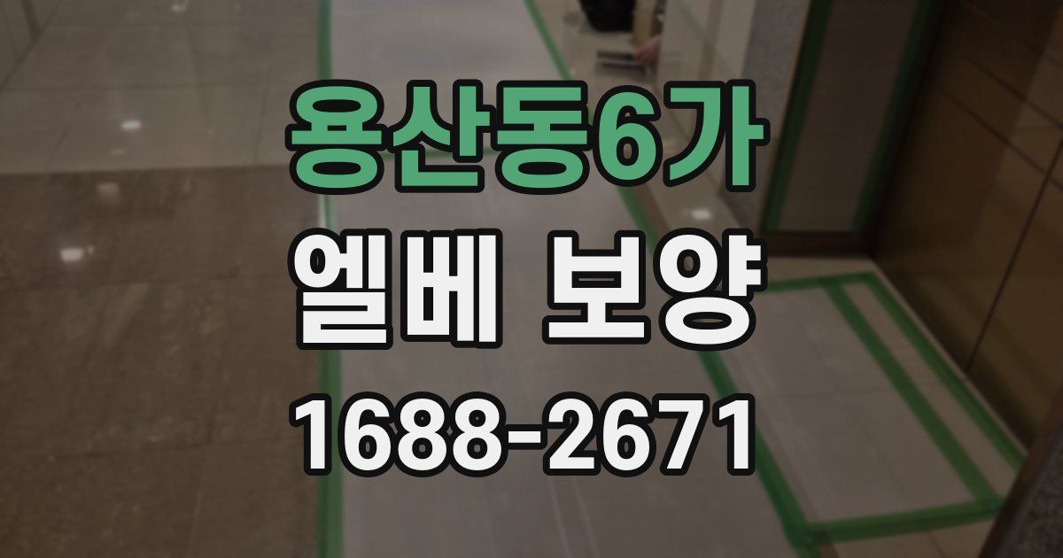 용산동6가 엘베 보양