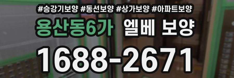용산동6가 엘베 보양