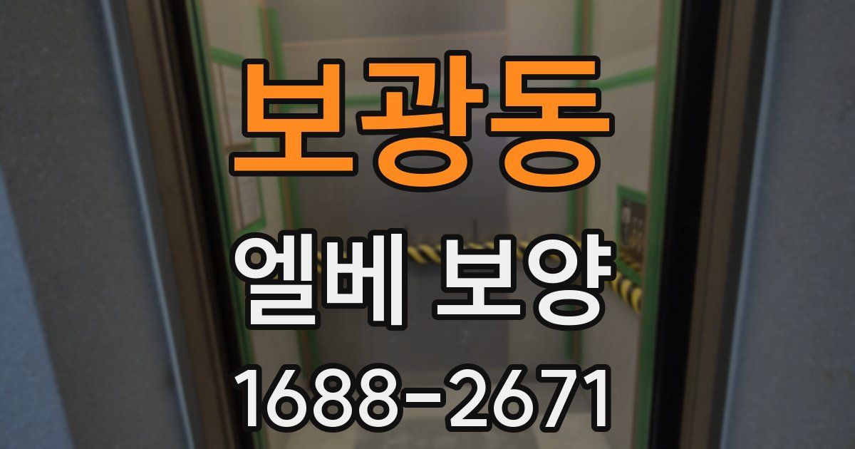 보광동 엘베 보양
