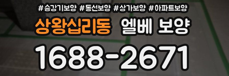 상왕십리동 엘베 보양