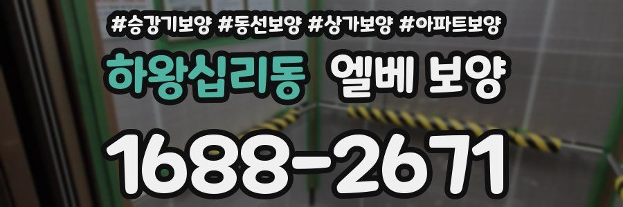 하왕십리동 엘베 보양